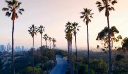 Full Video Highlights: 2nd LA CorpGov Forum Featuring Activism, IPOs, Entertainment