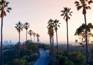 Full Video Highlights: 2nd LA CorpGov Forum Featuring Activism, IPOs, Entertainment